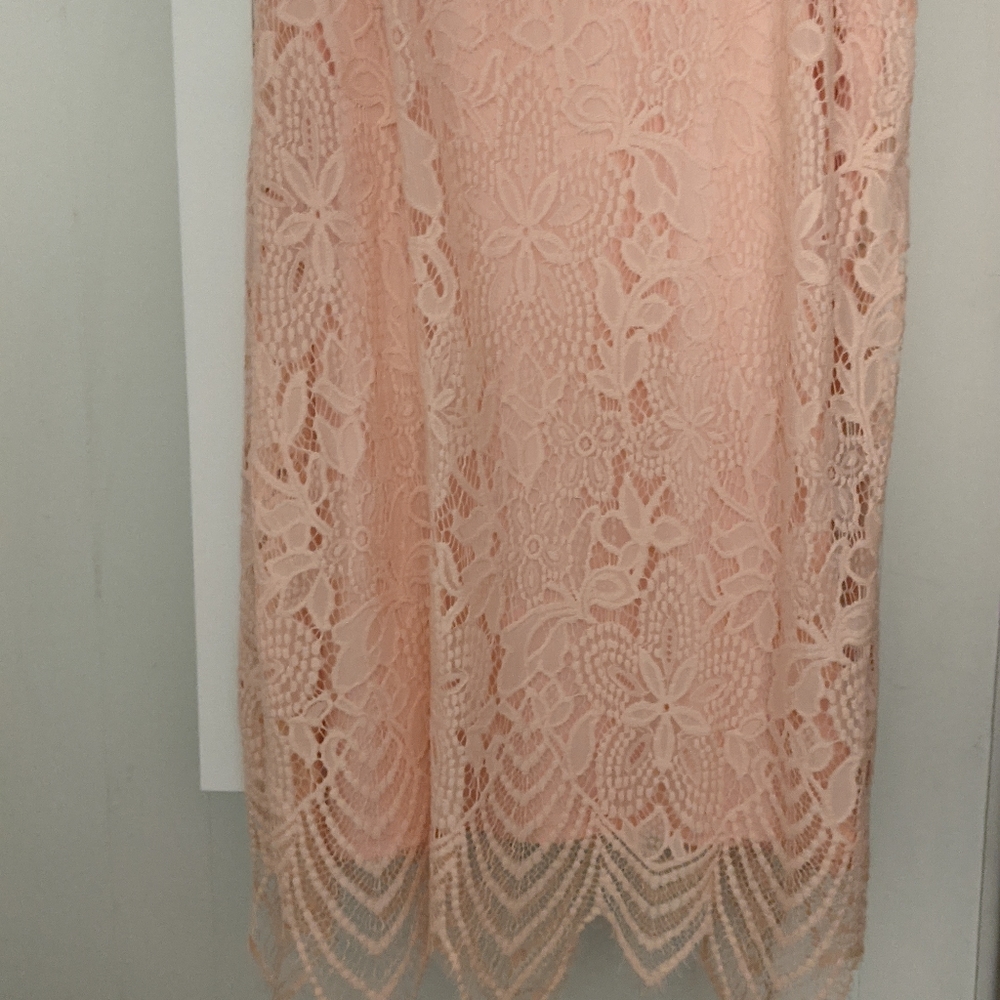Brand New Elegant Peachy Pink Lace Skirt